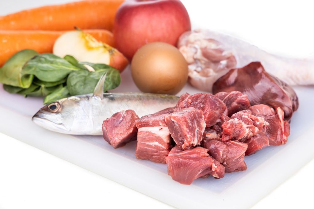Closeup of ingredients of barf raw food recipe for dogs consisting meat, organs, fish, eggs and